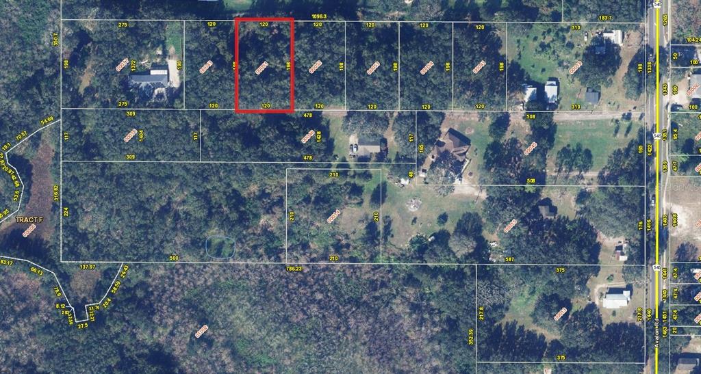 1362 Avalon Road Winter Garden, FL 34787 - Photo 9 of 18 Gallery Image 9