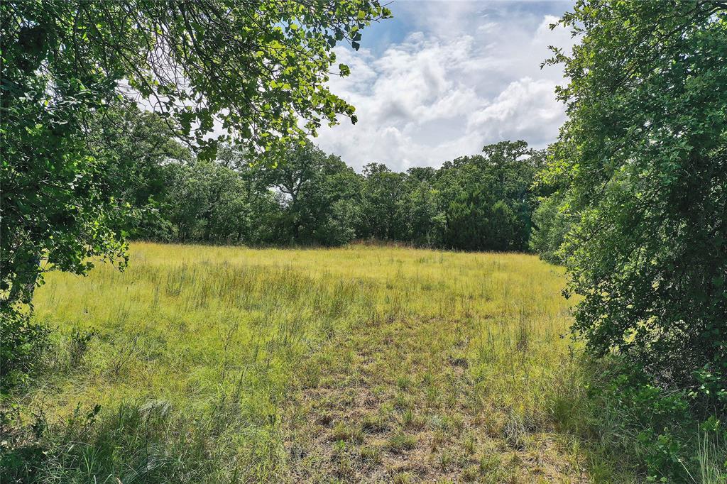 157-acres Nash Road Jacksboro, TX 76458 - Photo 12 of 40 Gallery Image 12