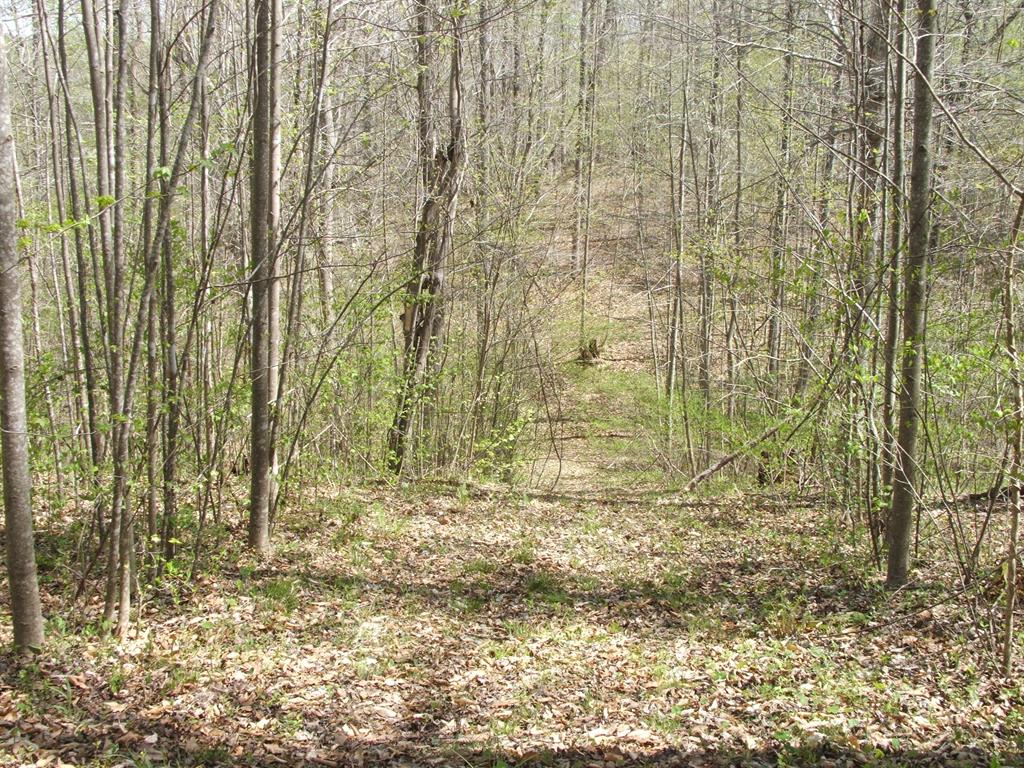 3199 Countyline Road Keysville, VA 23947 - Photo 32 of 43 Gallery Image 32