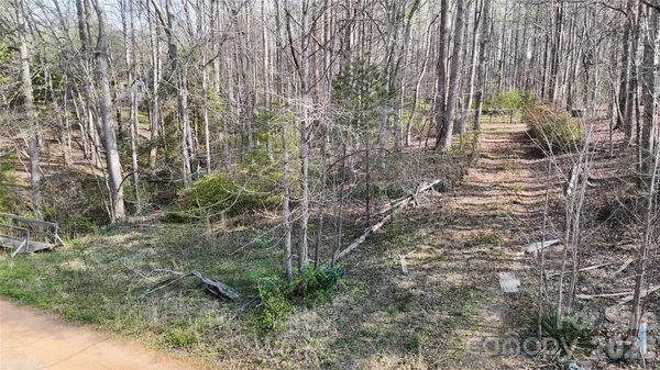 a pathway of a yard