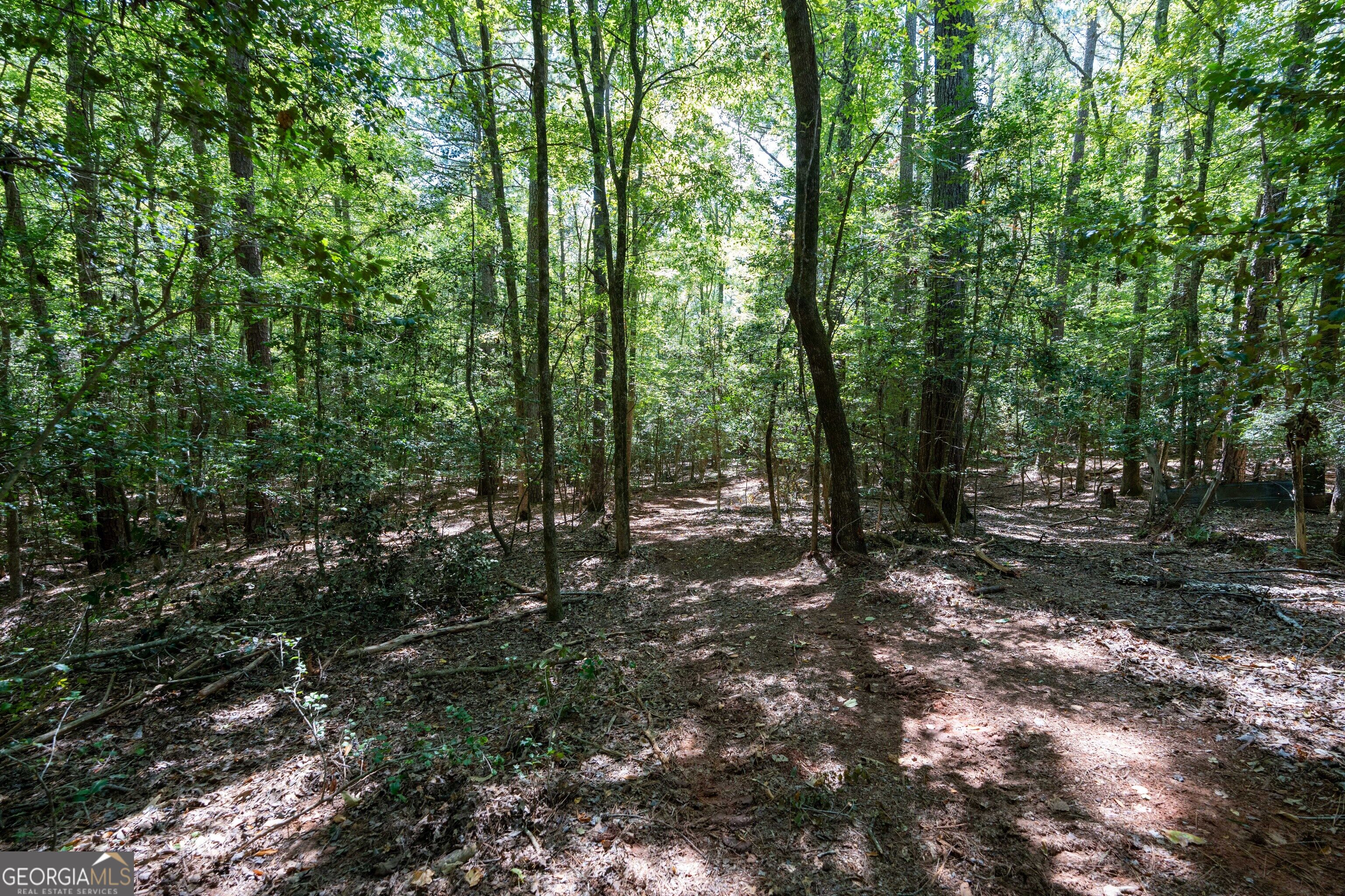 1419 Bobby Brown State Park Road Elberton, GA 30635 - Photo 13 of 90 Gallery Image 13