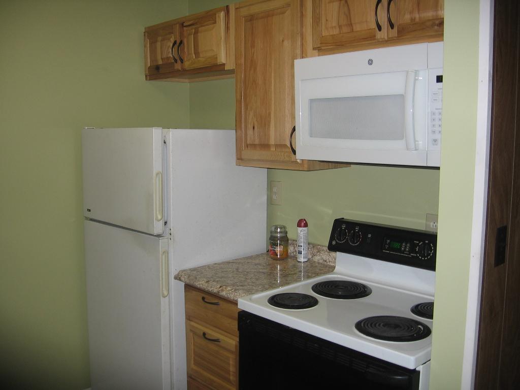 5667 Mt Maria Road Hubbard Lake, MI 49747 - Photo 7 of 15 Gallery Image 7