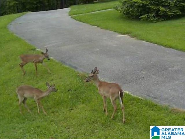 4173 McClendon Chapel Road Bessemer, AL 35022 - Photo 29 of 35