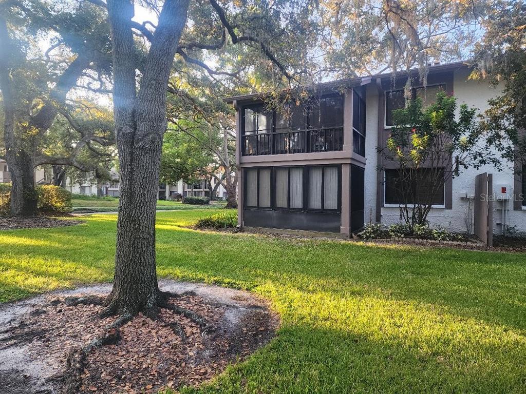 603 Baldwin Avenue, Unit B Safety Harbor, FL 34695 - Photo 26 of 32 a view of a house with backyard and a tree