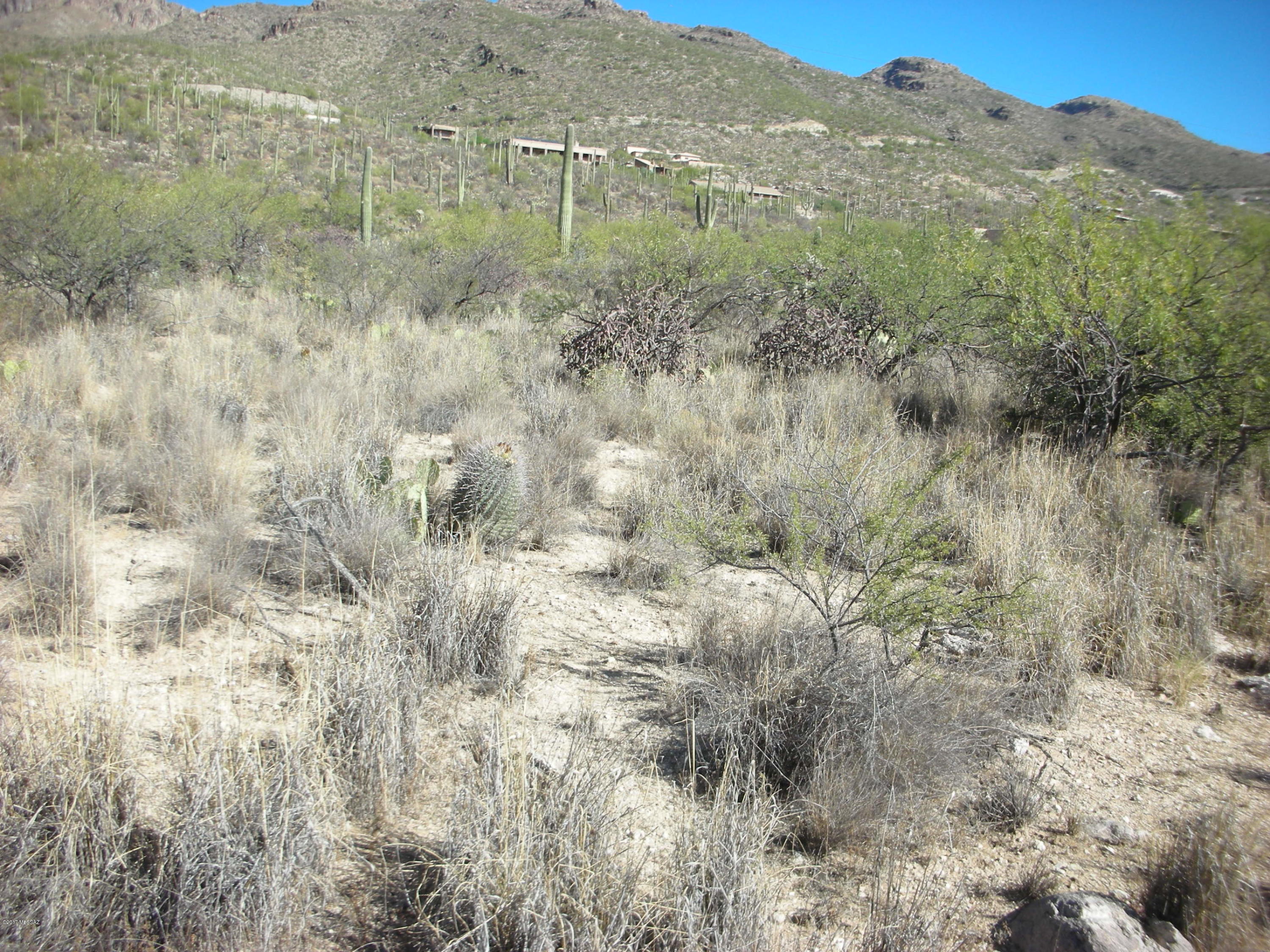 5240 North Mt Lemmon Short Road, Unit 5 Tucson, AZ 85749 - Photo 10 of 19