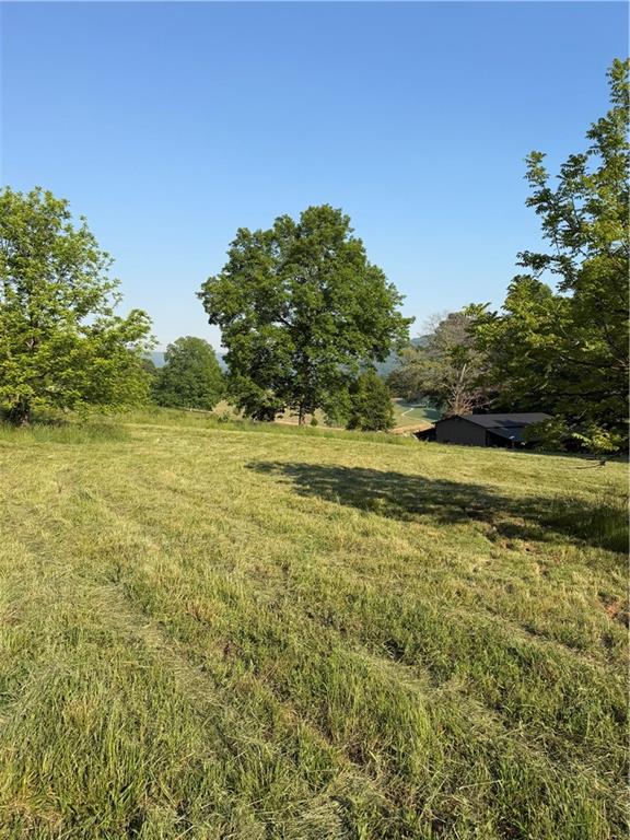 0 My Mountain Road Morganton, GA 30560 - Photo 12 of 19 a view of a field with an ocean view
