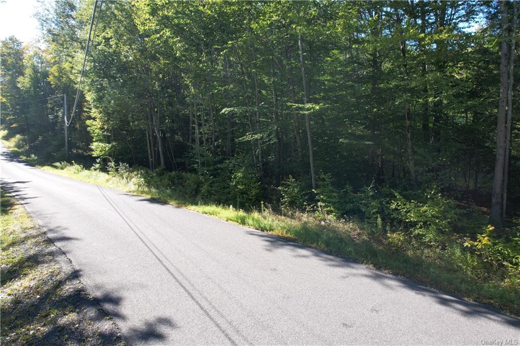 0 Hysana Road Fallsburg, NY 12733 - Photo 1 of 7 a view of a street with a trees