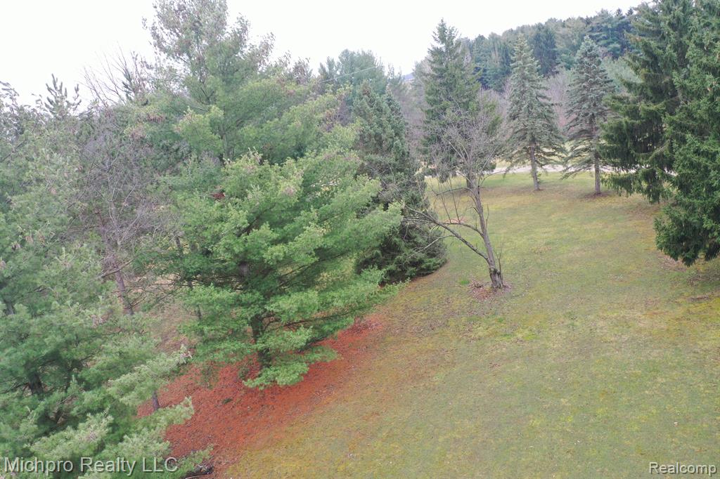 1185 Sisson Road Imlay City, MI 48444 - Photo 47 of 69