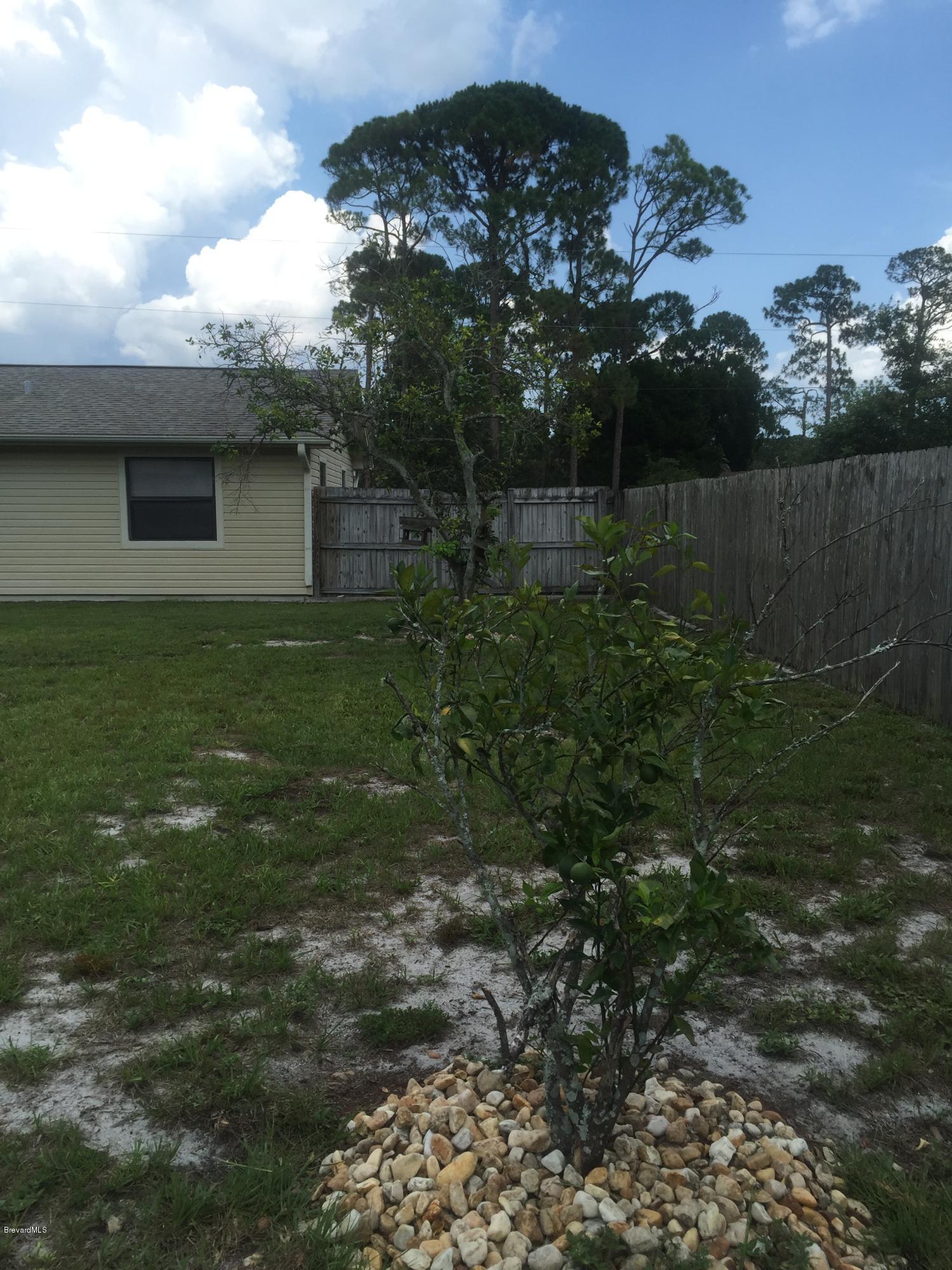 5448 Flint Road Cocoa, FL 32927 - Photo 4 of 35 Side of Home/Fruit Trees