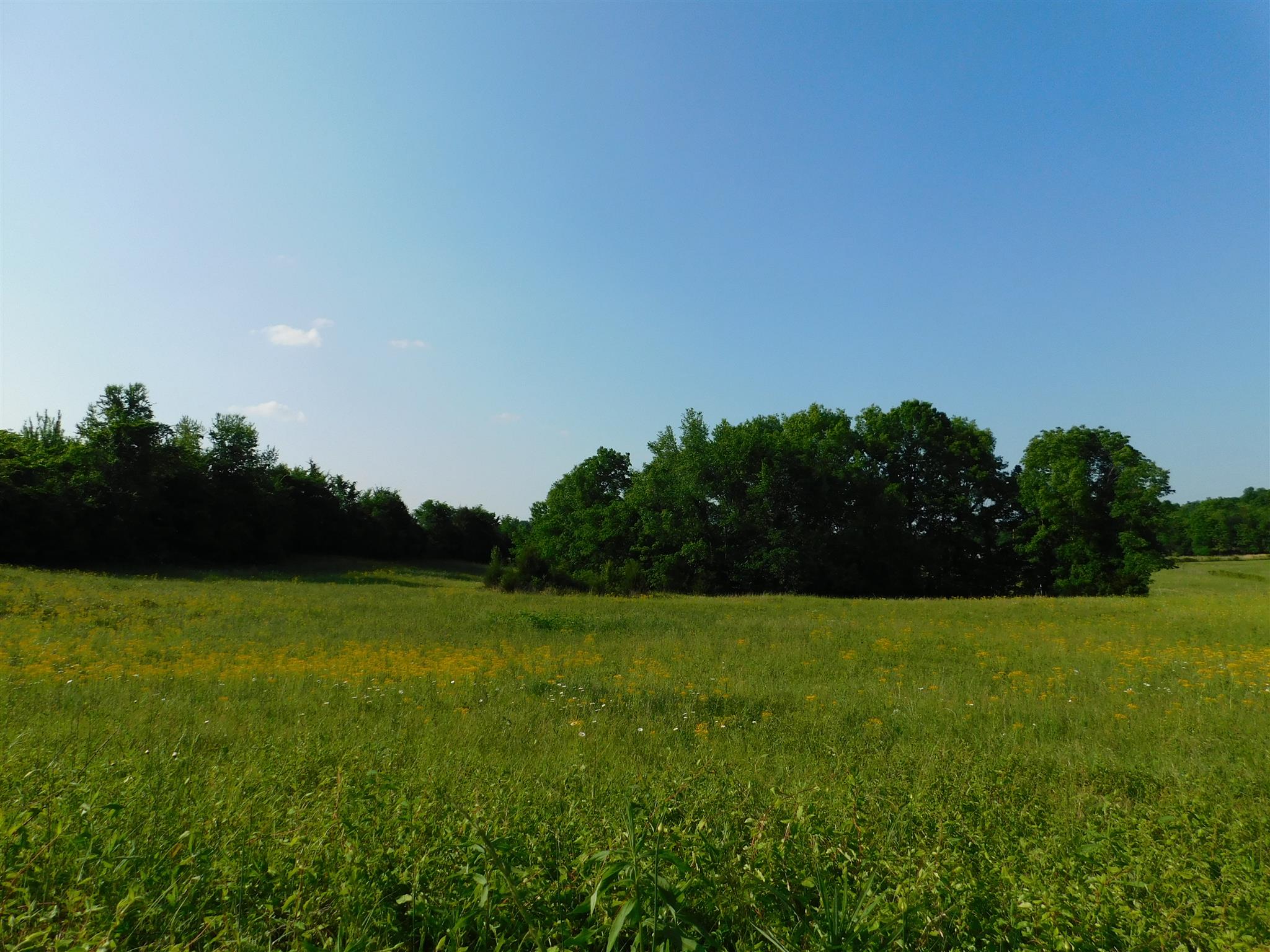 2470 Ben Green Road Lebanon, TN 37090 - Photo 4 of 24 a view of a field with an ocean