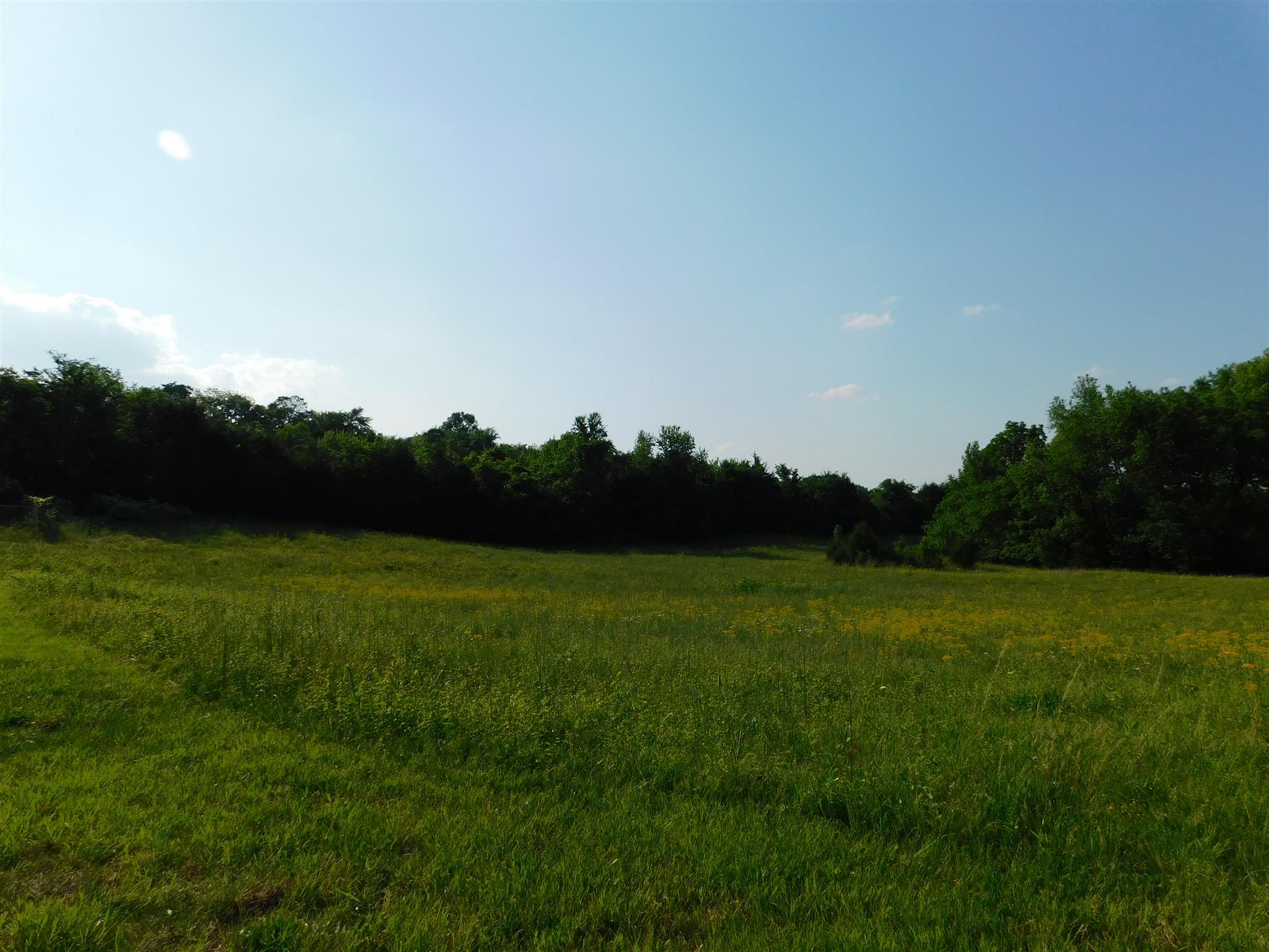 2470 Ben Green Road Lebanon, TN 37090 - Photo 5 of 24 a view of grassy field with trees