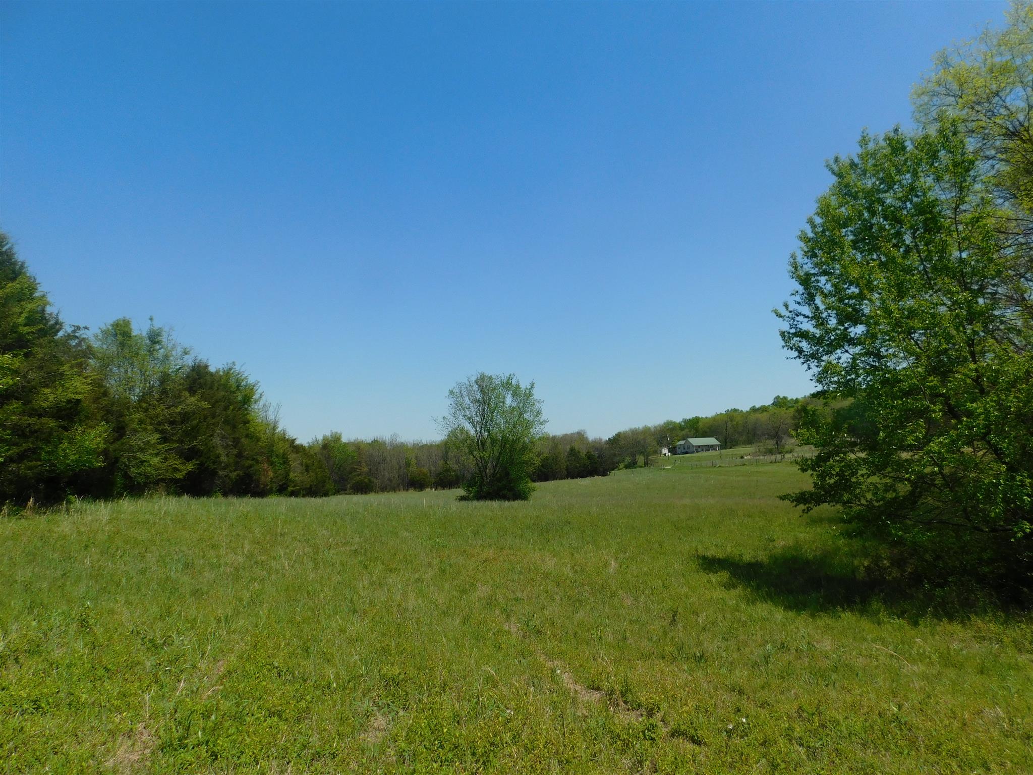 2470 Ben Green Road Lebanon, TN 37090 - Photo 6 of 24 a view of a grassy field with an trees