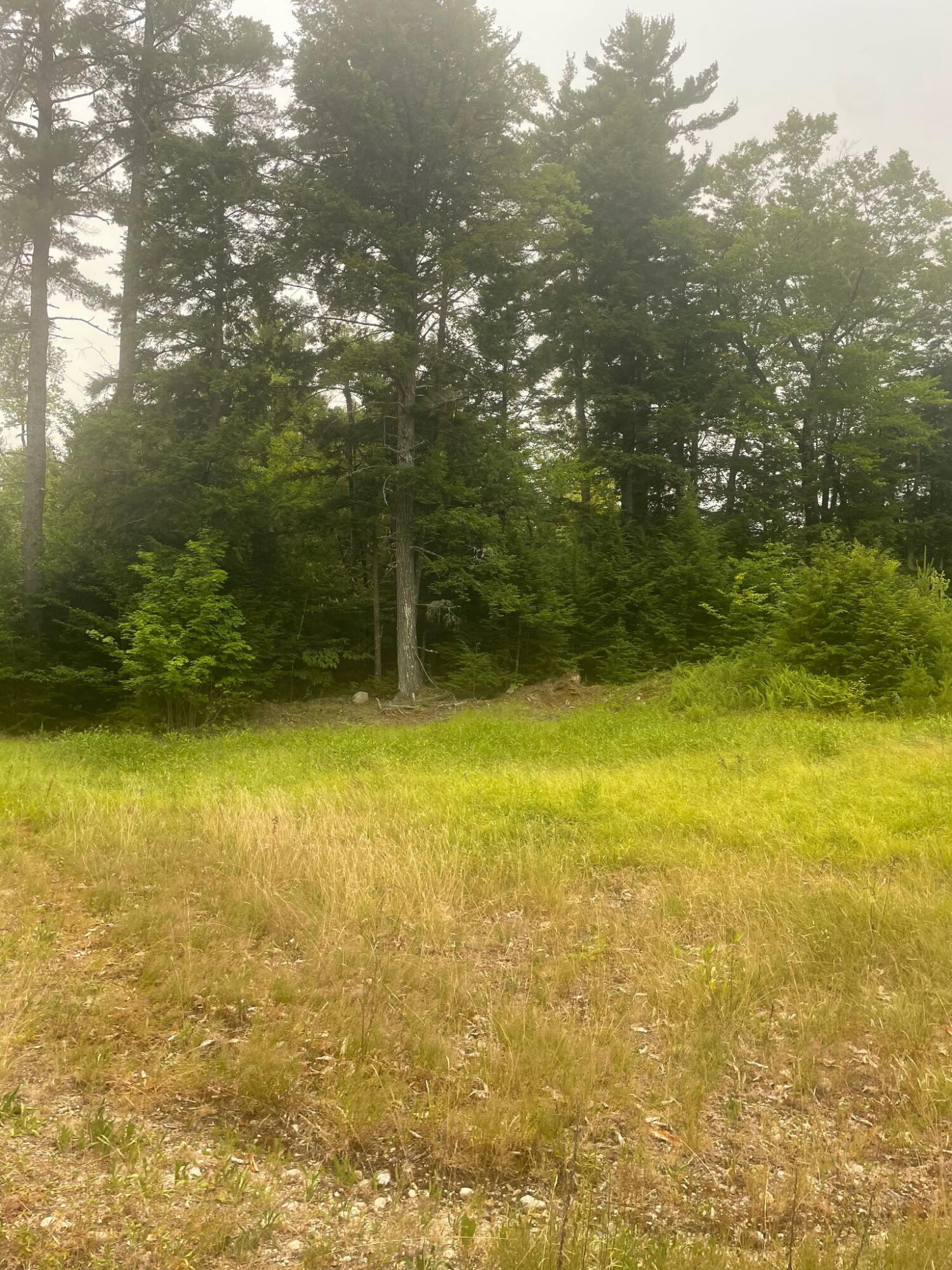 Lot 3 Allen Mountain Road Denmark, ME 04022 - Photo 6 of 11 4672