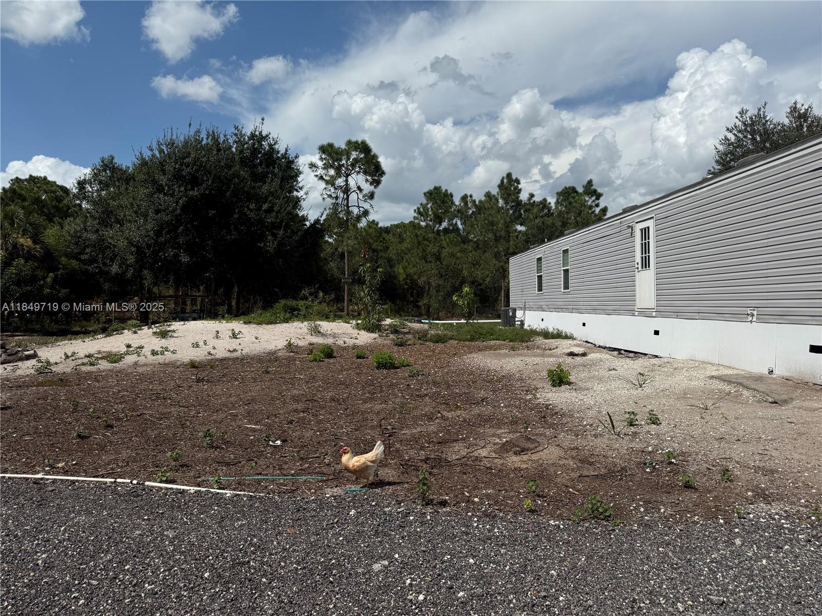 830 South Kennel Street Clewiston, FL 33440 - Photo 22 of 30 a view of a dry yard with trees