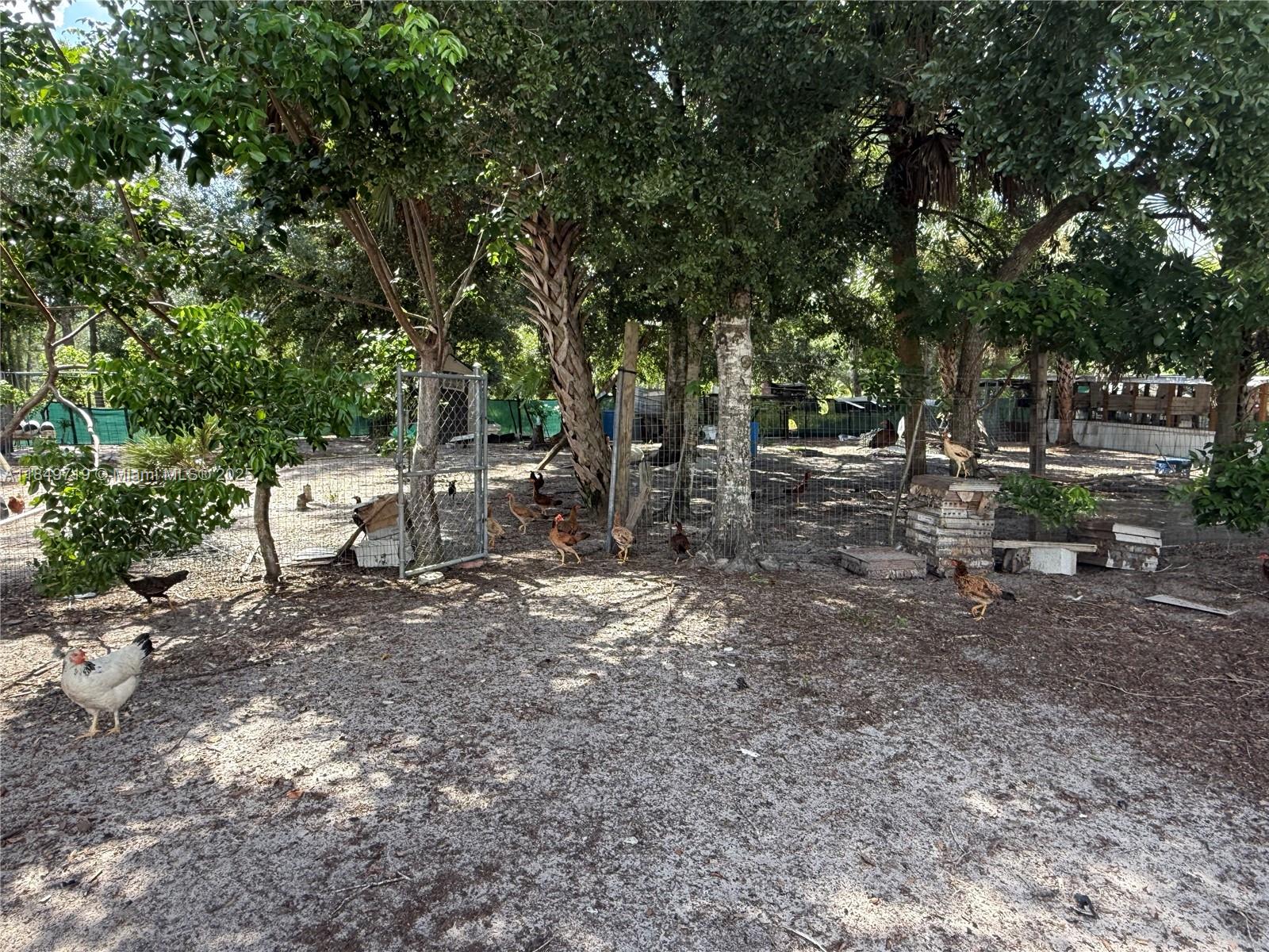 830 South Kennel Street Clewiston, FL 33440 - Photo 25 of 30 a view of a forest with trees in the background
