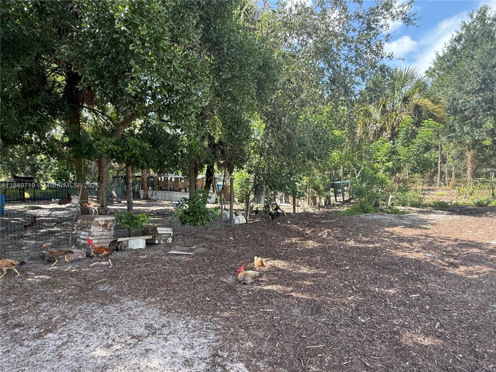 830 South Kennel Street Clewiston, FL 33440 - Photo 26 of 30 a view of a park with large trees