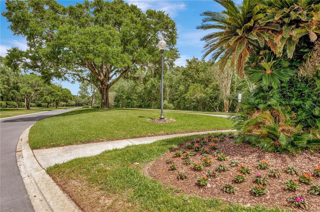 4809 Willow Ridge Terrace Valrico, FL 33596 - Photo 39 of 46 Gallery Image 39