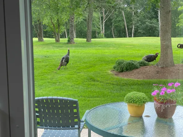 $515,000 | 210 Billington Lane, Unit 210, Brewster, MA 02631