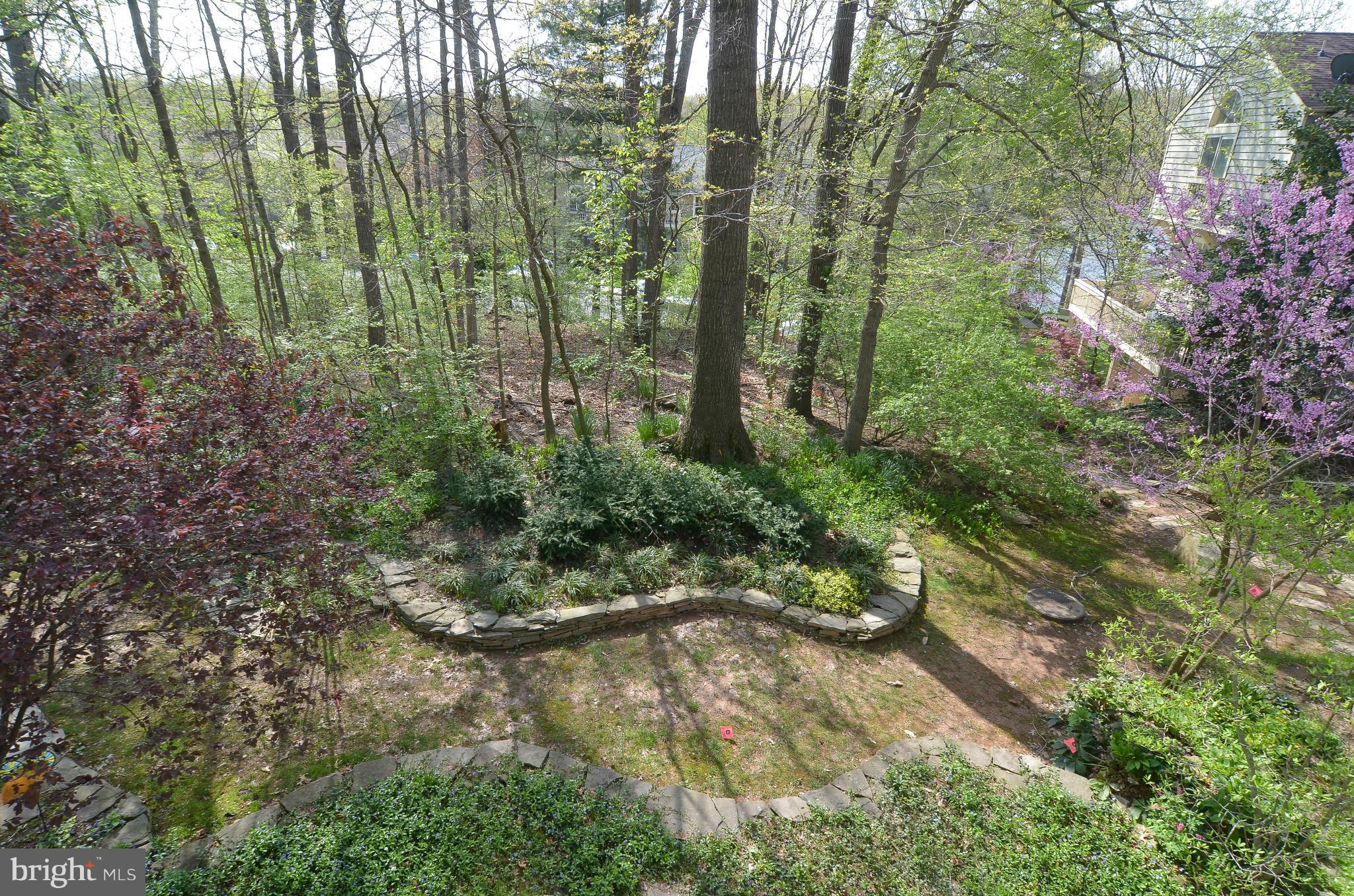 11125 Watermans Drive Reston, VA 20191 - Photo 11 of 26 Here is a view from the main level deck.