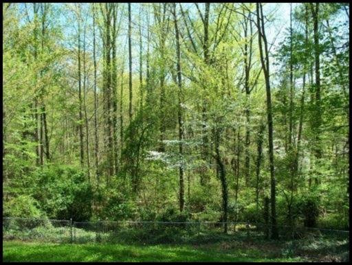 122 Netherlands Road Oak Ridge, TN 37830 - Photo 31 of 32 Additional Photo
