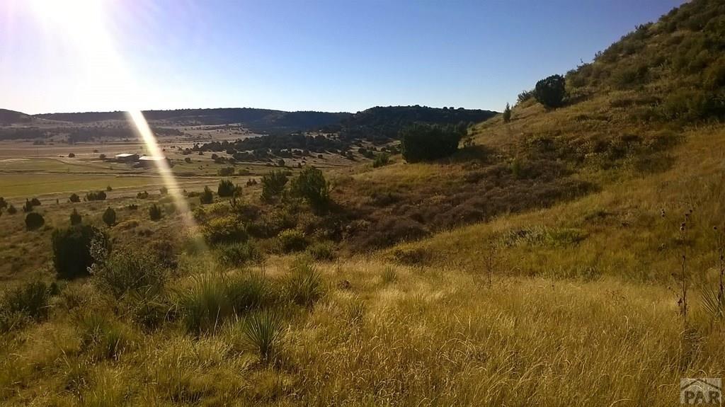 3r 3 R Road Beulah, CO 81023 - Photo 4 of 15 Gallery Image 4