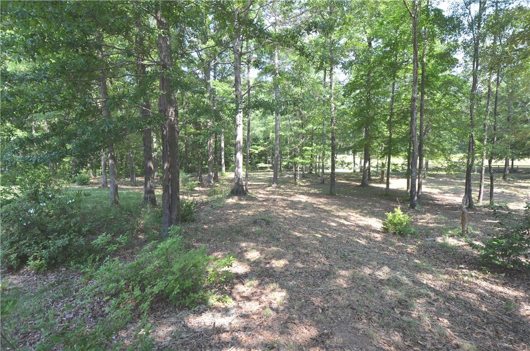 1885 West Farmville Road Auburn, AL 36879 - Photo 13 of 45 Gallery Image 13