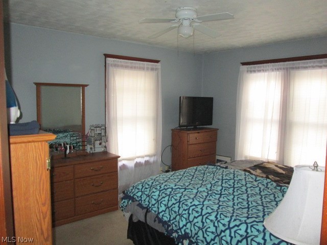 82 Morrison Street Struthers, OH 44471 - Photo 6 of 10 Gallery Image 6