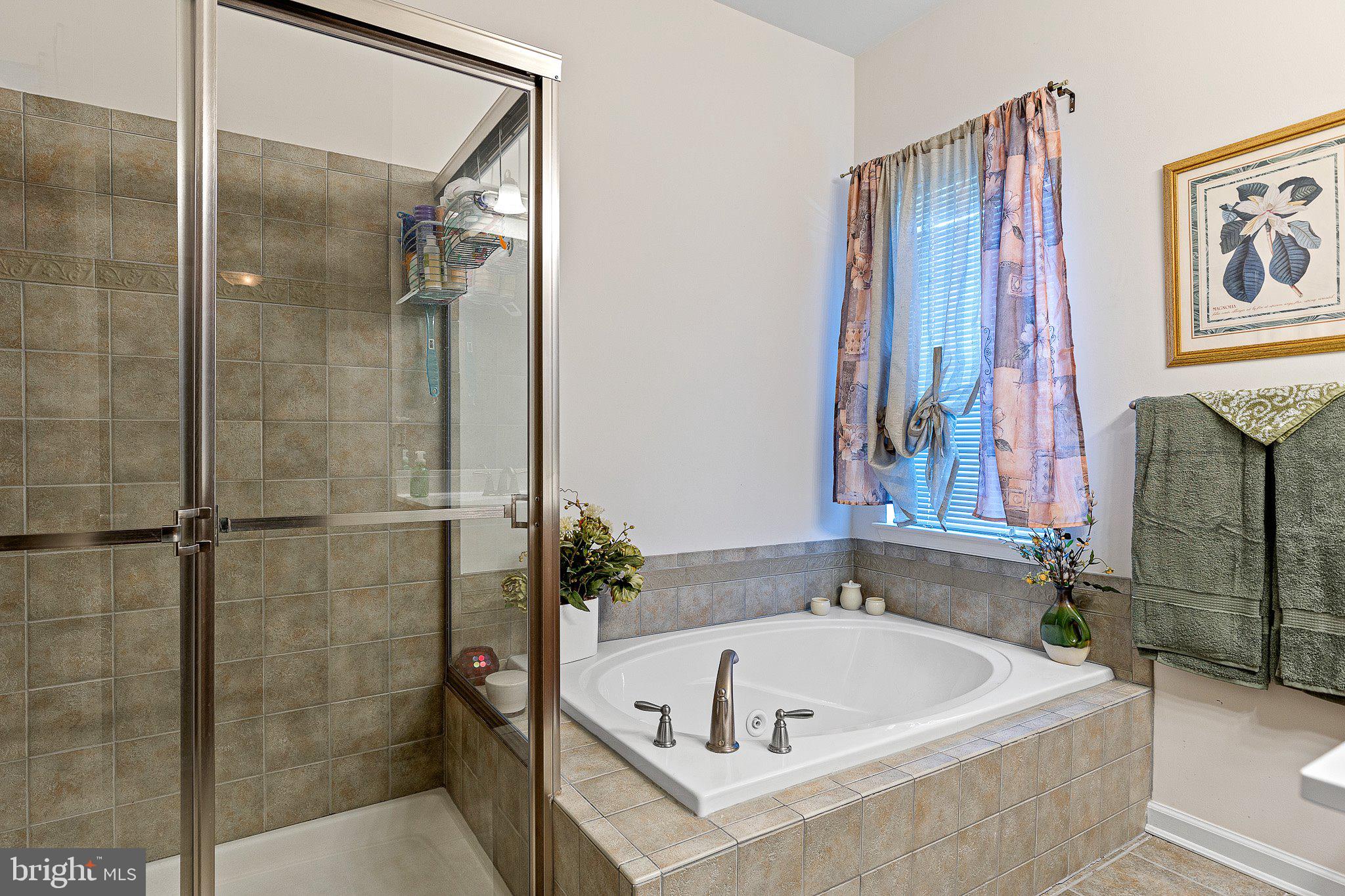209 Glenshee Drive Townsend, DE 19734 - Photo 29 of 37 Shower and Soaking Tub