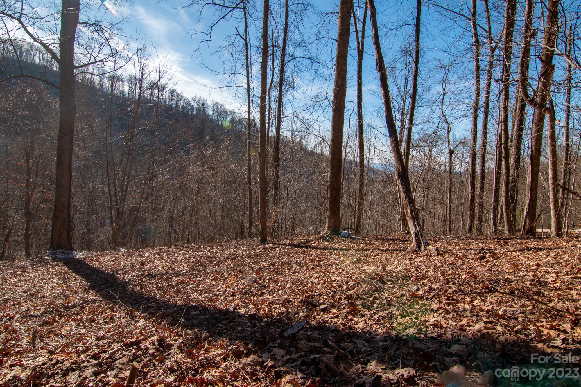 99999 High Timber Trail Unit Lot 108  