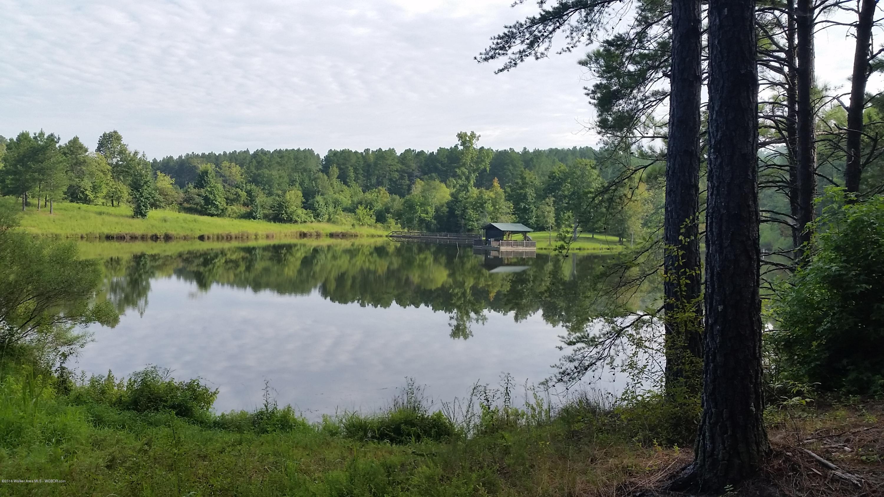 Pleasant Hill Road Townley, AL 35587 - Photo 7 of 9 Gallery Image 7