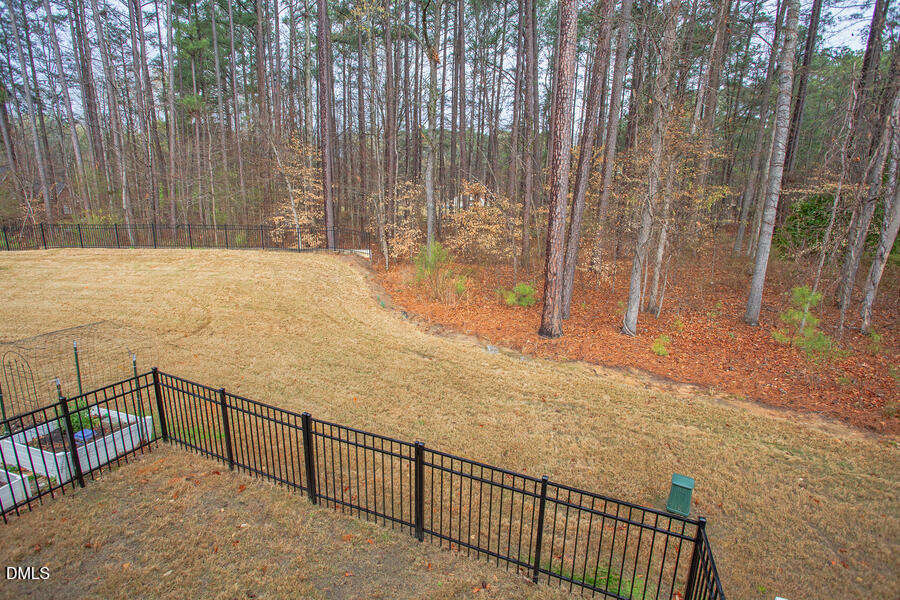 1136 Southpoint Trail Durham, NC 27713 - Photo 24 of 35 Backyard