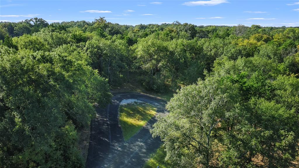 6 Appomattox Street Streetman, TX 75859 - Photo 4 of 7 a view of a lake and a mountain view