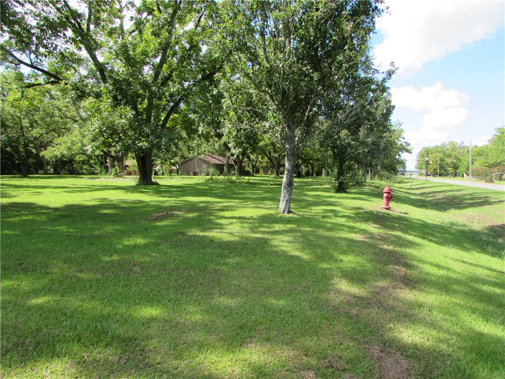3239 Bob Bowen Road Blackshear, GA 31516 - Photo 2 of 34 At the road you'll find a fire hydrant.