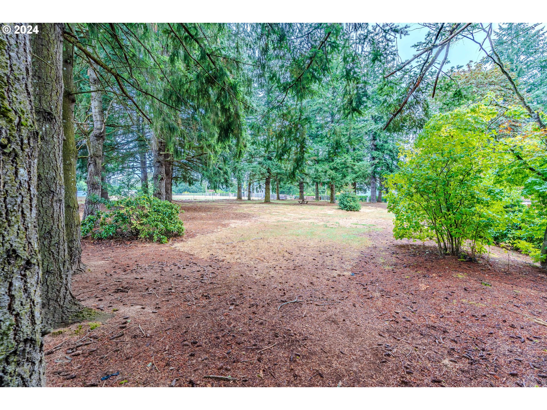 21981 South Ferguson Road Beavercreek, OR 97004 - Photo 43 of 48