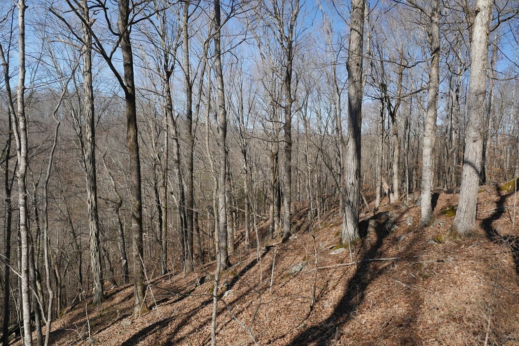 Tbd Tbd Dean Road Rose Hill, VA 24281 - Photo 74 of 97 Gallery Image 74