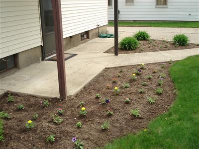 62 Manchester Road Southwest Wyoming, MI 49548 - Photo 20 of 21 Additional Photo
