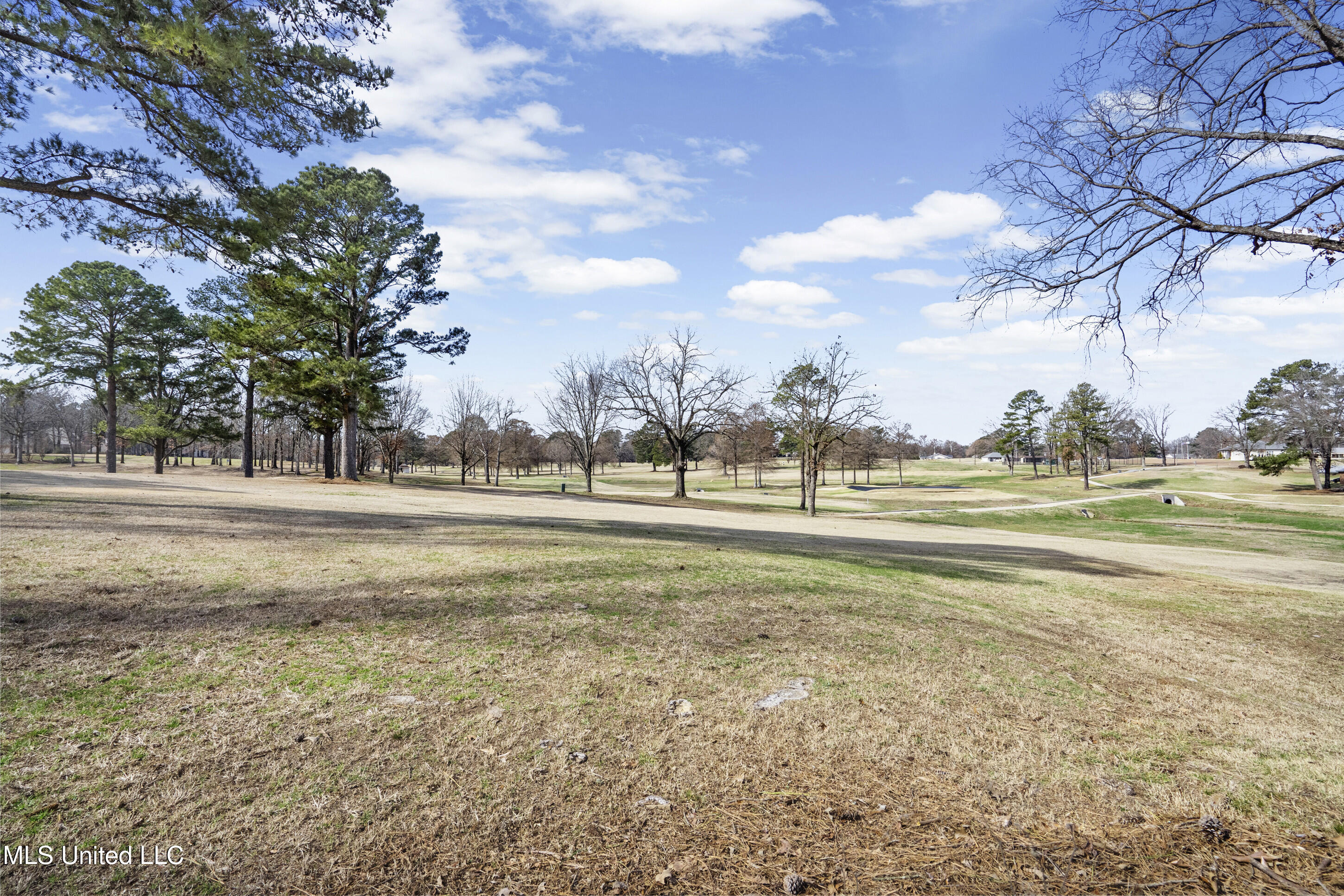 124 Gwen Road Senatobia, MS 38668 - Photo 8 of 46 40__dsc2999_print