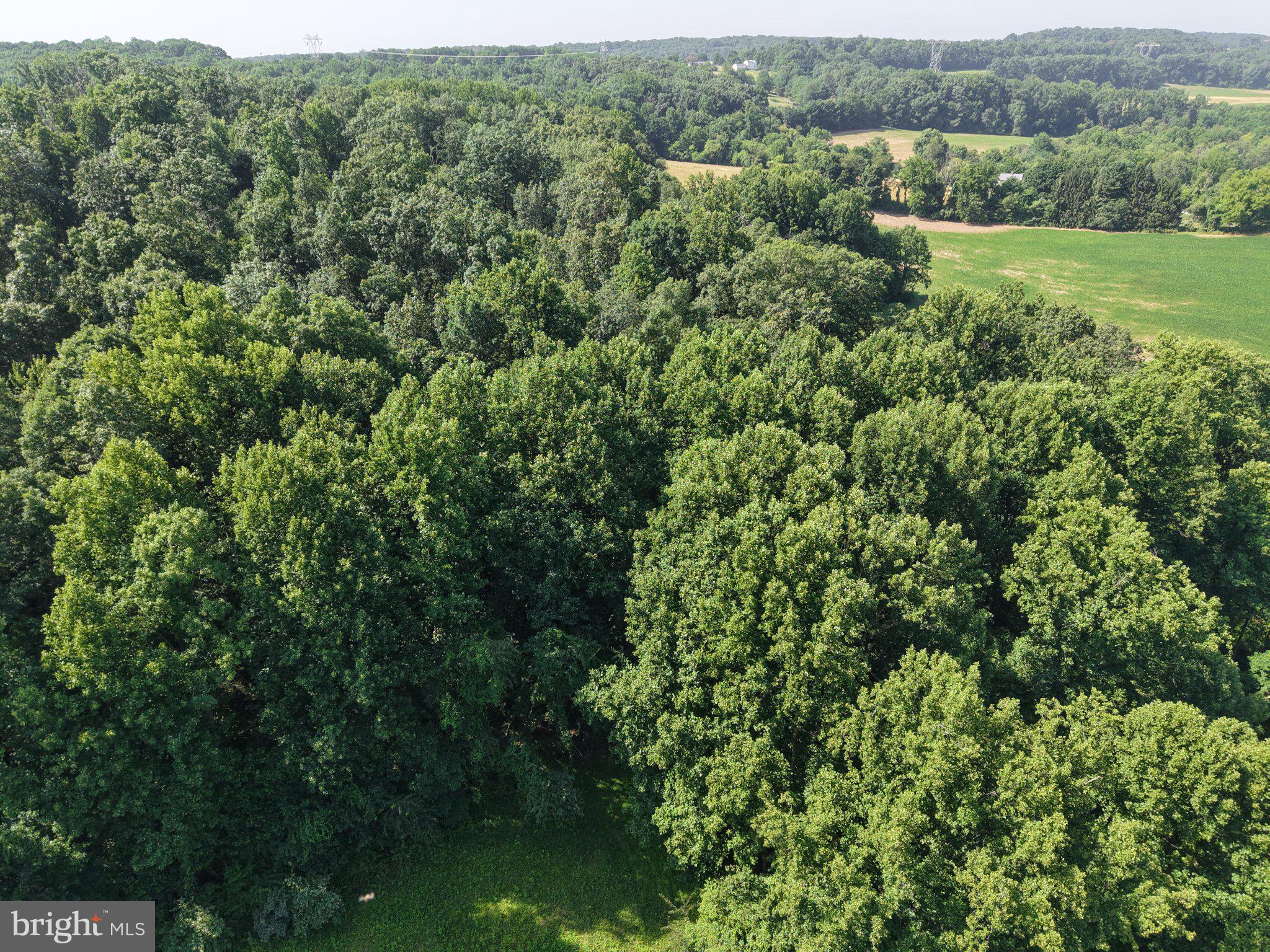 501 Tracey Road Hanover, PA 17331 - Photo 5 of 8 Lush green canopy embraces the landscape.