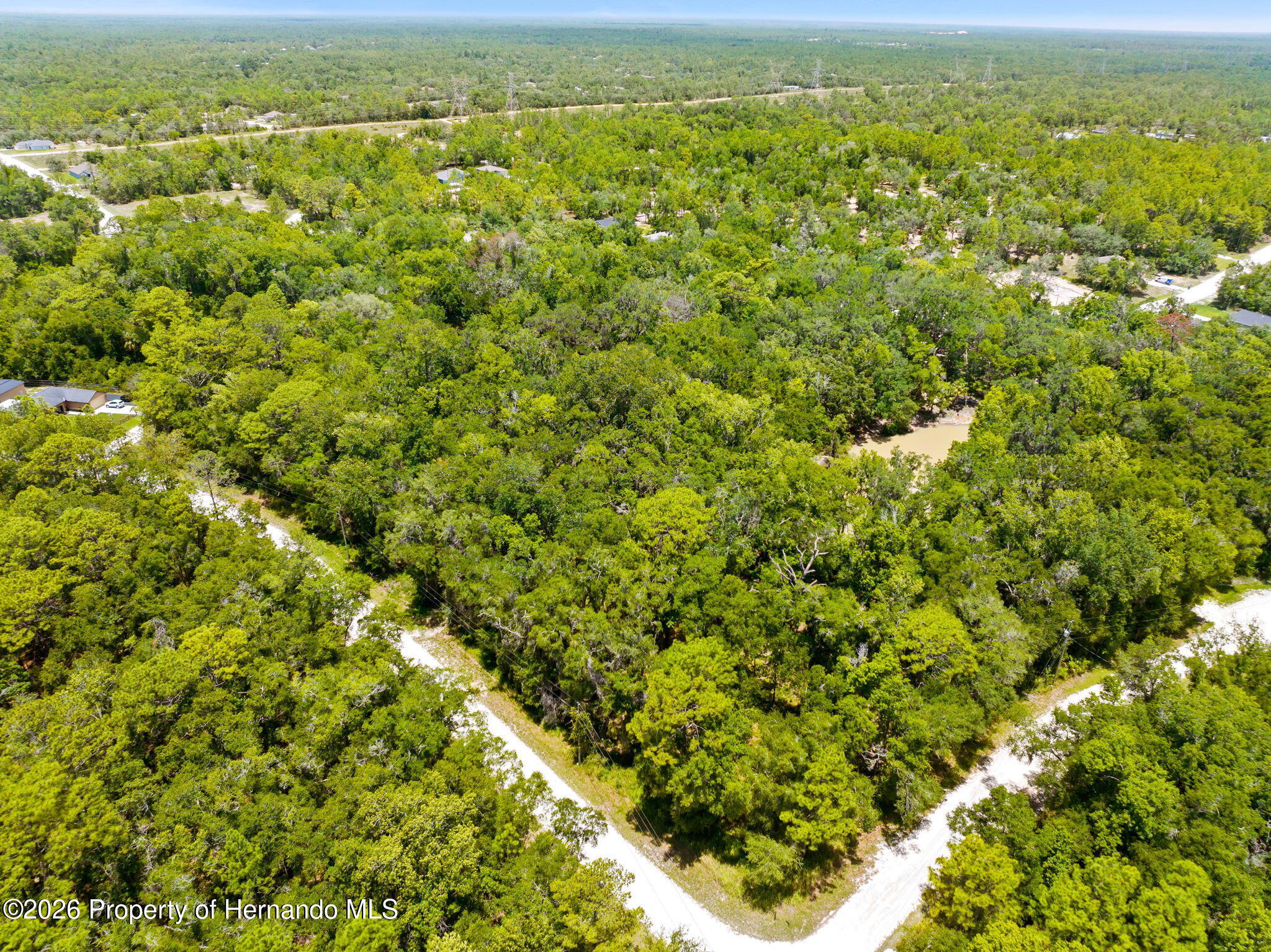 0 Ricebird Avenue Weeki Wachee, FL 34614 - Photo 3 of 26
