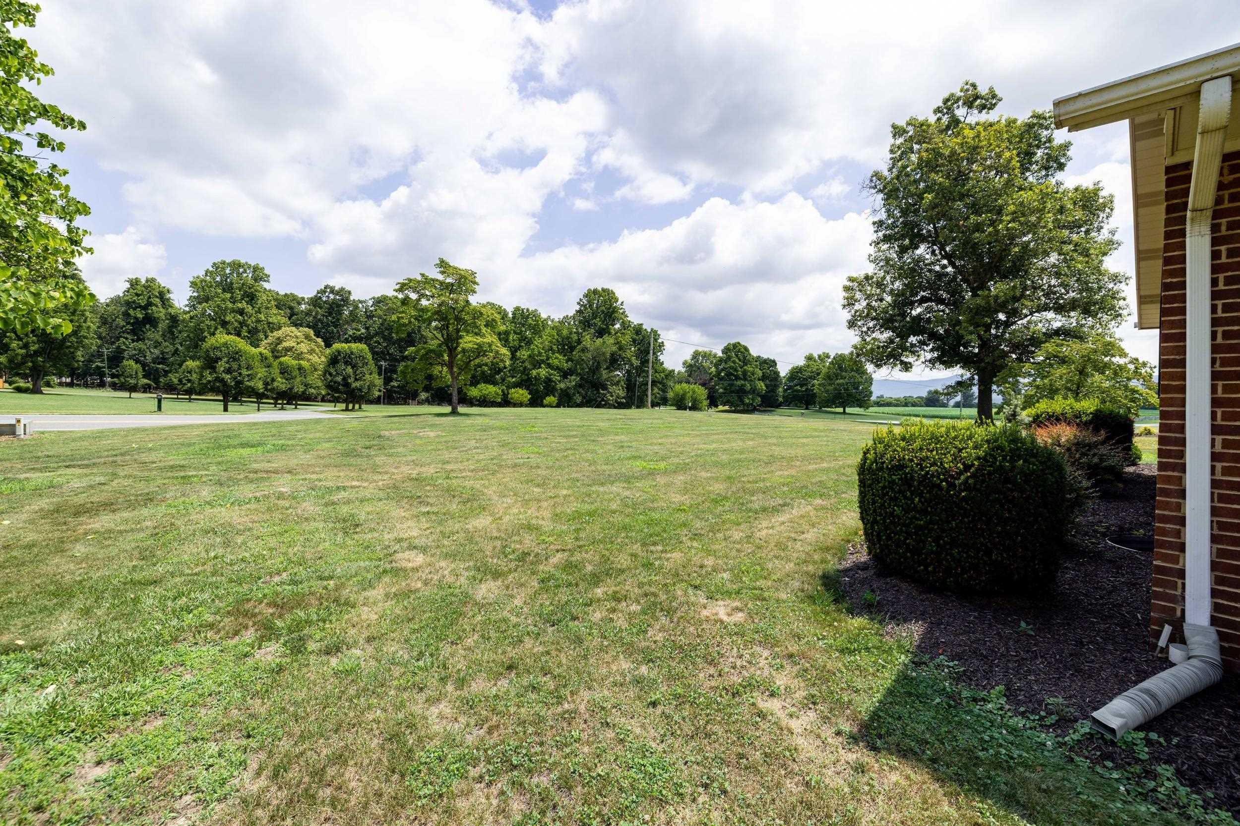 1630 Island Ford Road Elkton, VA 22827 - Photo 18 of 71