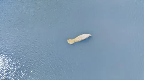 $3,200,000 | 6824 Danah Court, Fort Myers, FL 33908