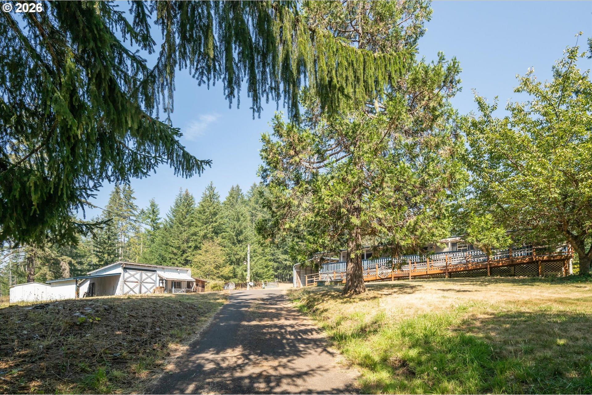 40329 Booth Kelly Road Springfield, OR 97478 - Photo 5 of 48 Gallery Image 5
