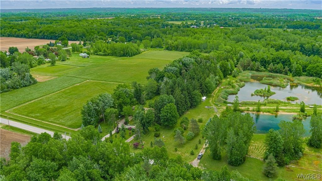 5948 Chestnut Road Newfane, NY 14094 - Photo 31 of 41