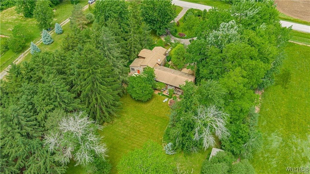 5948 Chestnut Road Newfane, NY 14094 - Photo 39 of 41