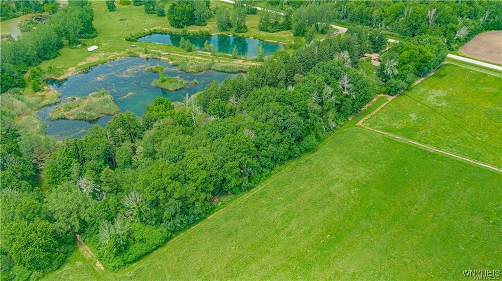 5948 Chestnut Road Newfane, NY 14094 - Photo 40 of 41