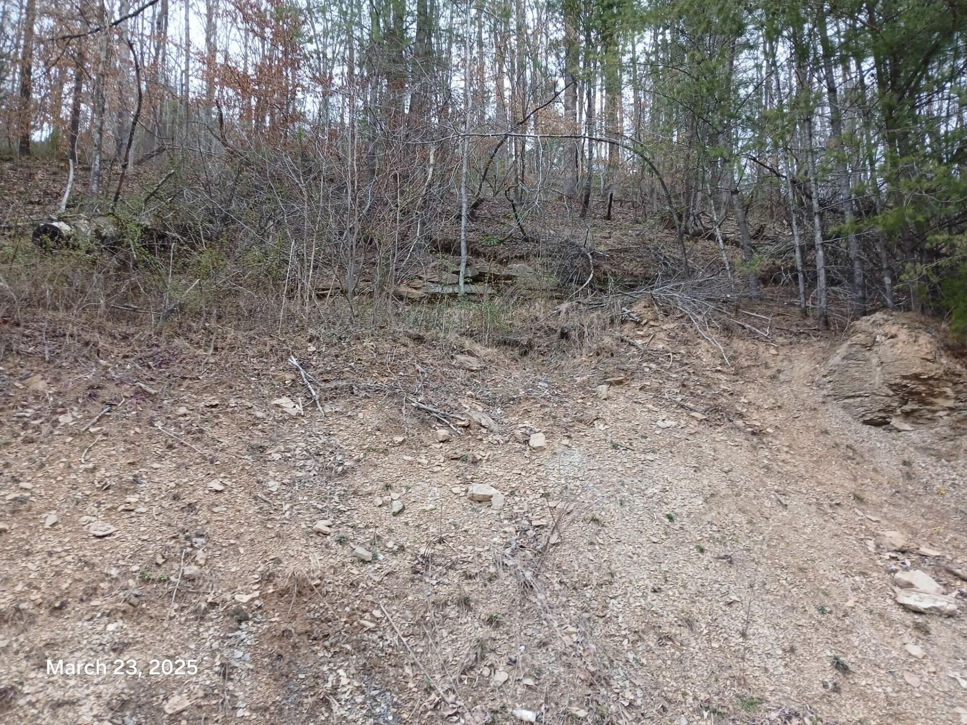 Property Behind house