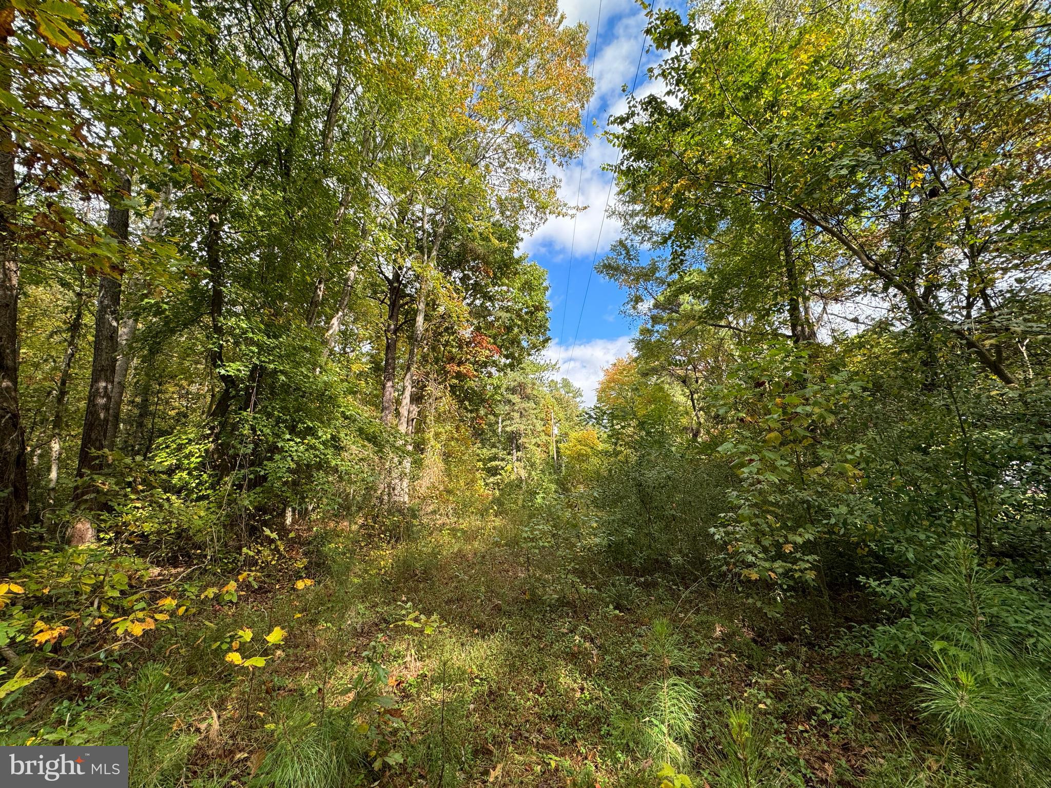Tbd Balty Road Ruther Glen, VA 22546 - Photo 16 of 26 Gallery Image 16
