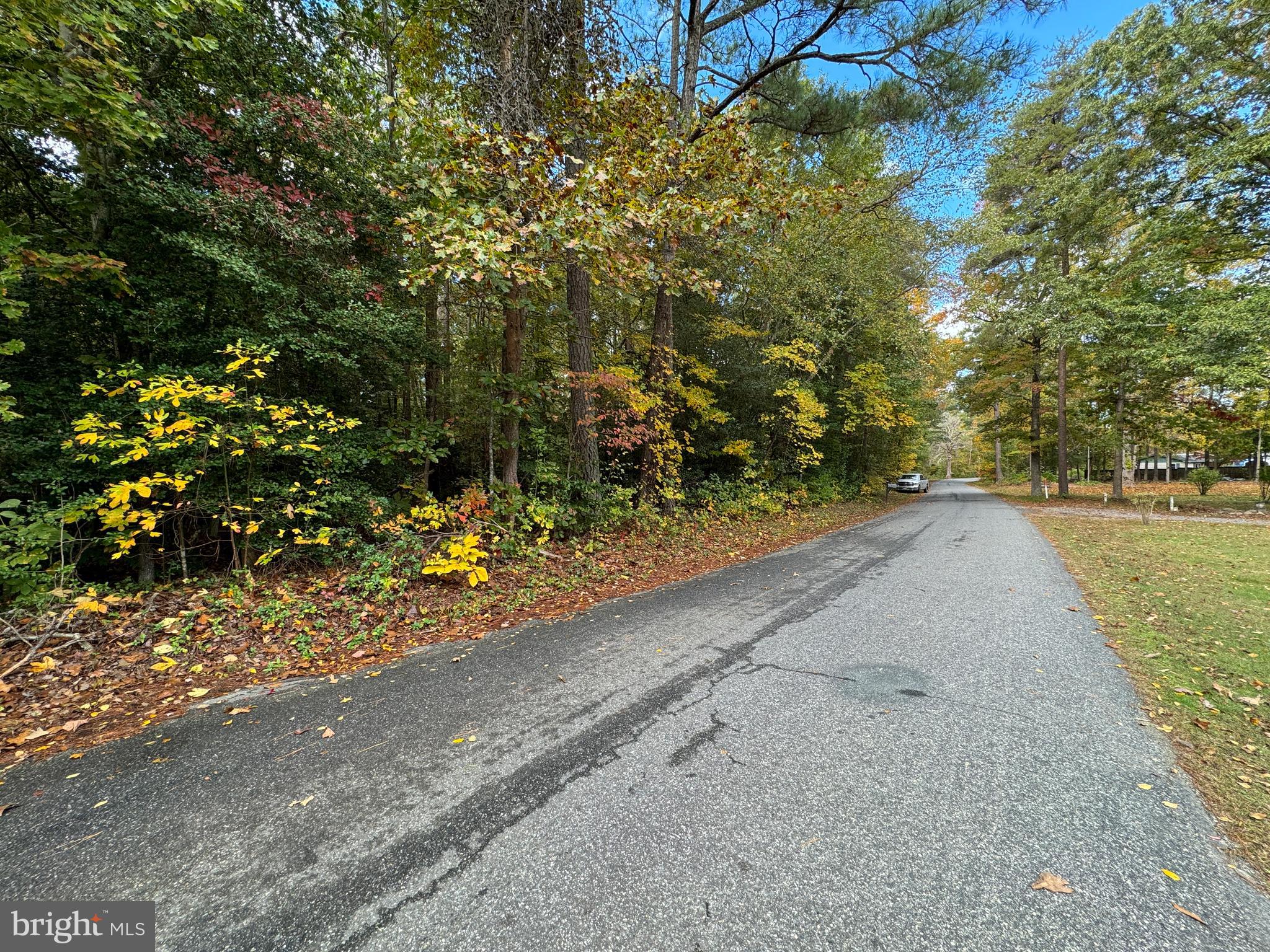 Tbd Balty Road Ruther Glen, VA 22546 - Photo 21 of 26 Gallery Image 21