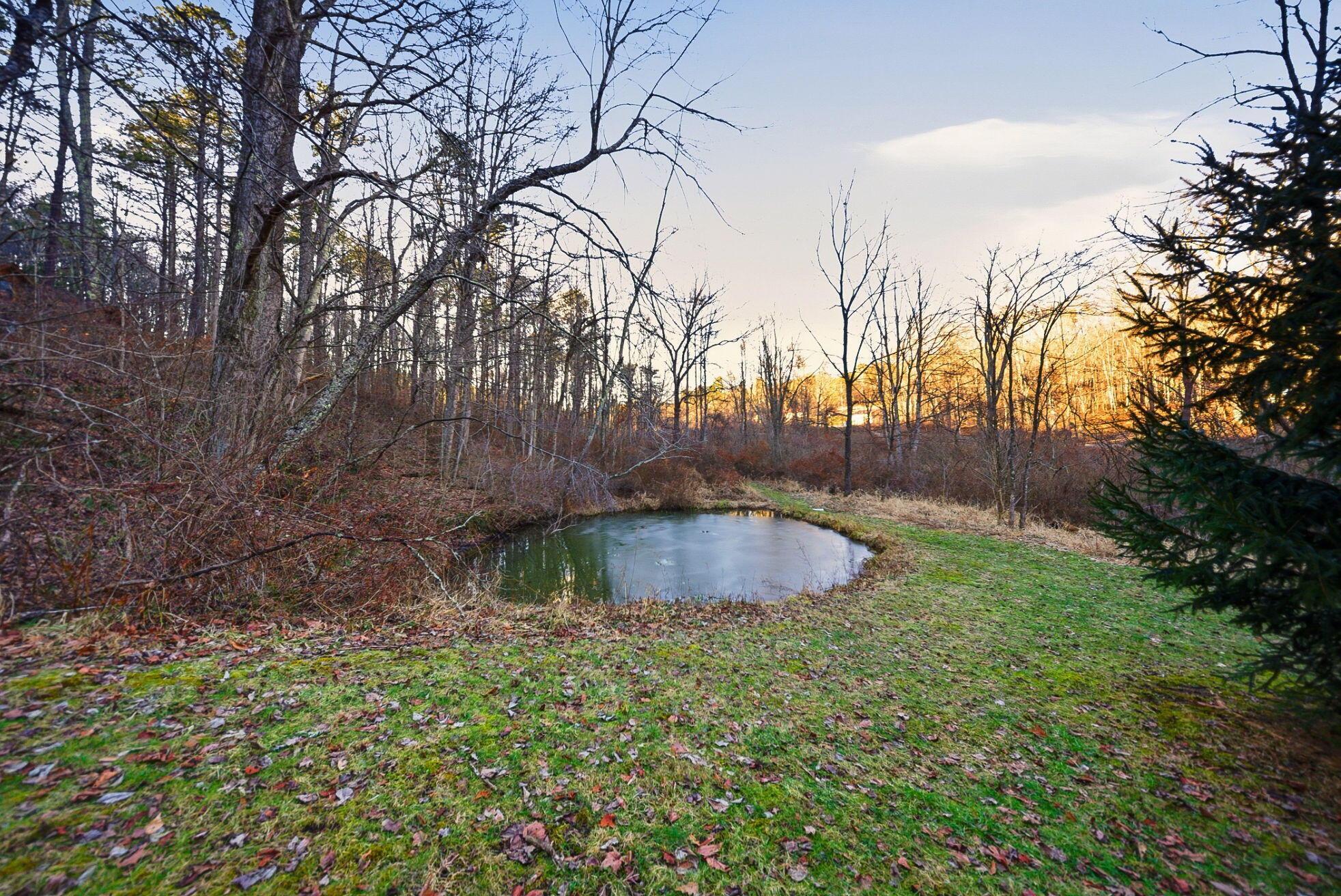 15399 Clapper Hollow Road Laurelville, OH 43135 - Photo 43 of 61 Small Private Pond Attracts Natural Wildlife