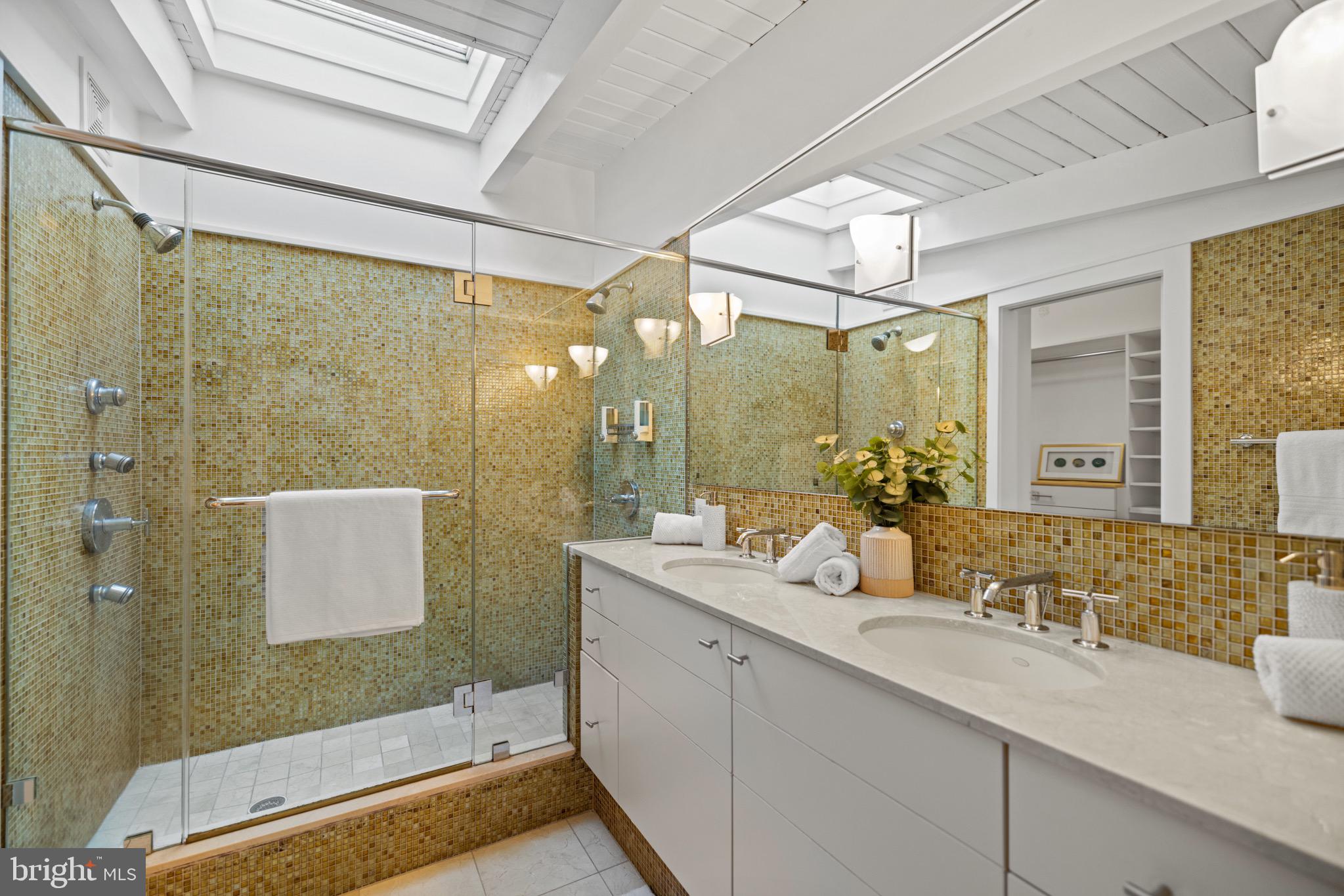 8010 Riverside Drive Cabin John, MD 20818 - Photo 25 of 60 Primary bathroom features a skylight!